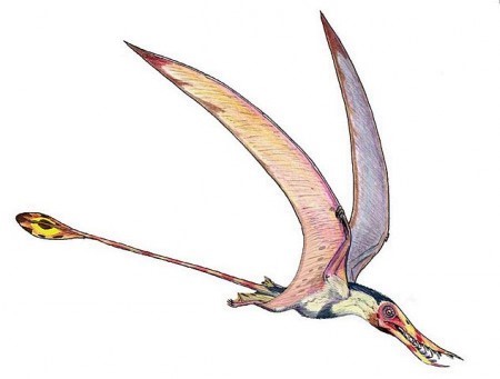 Mestrado em paleozoologia e biomecânica na UFABC